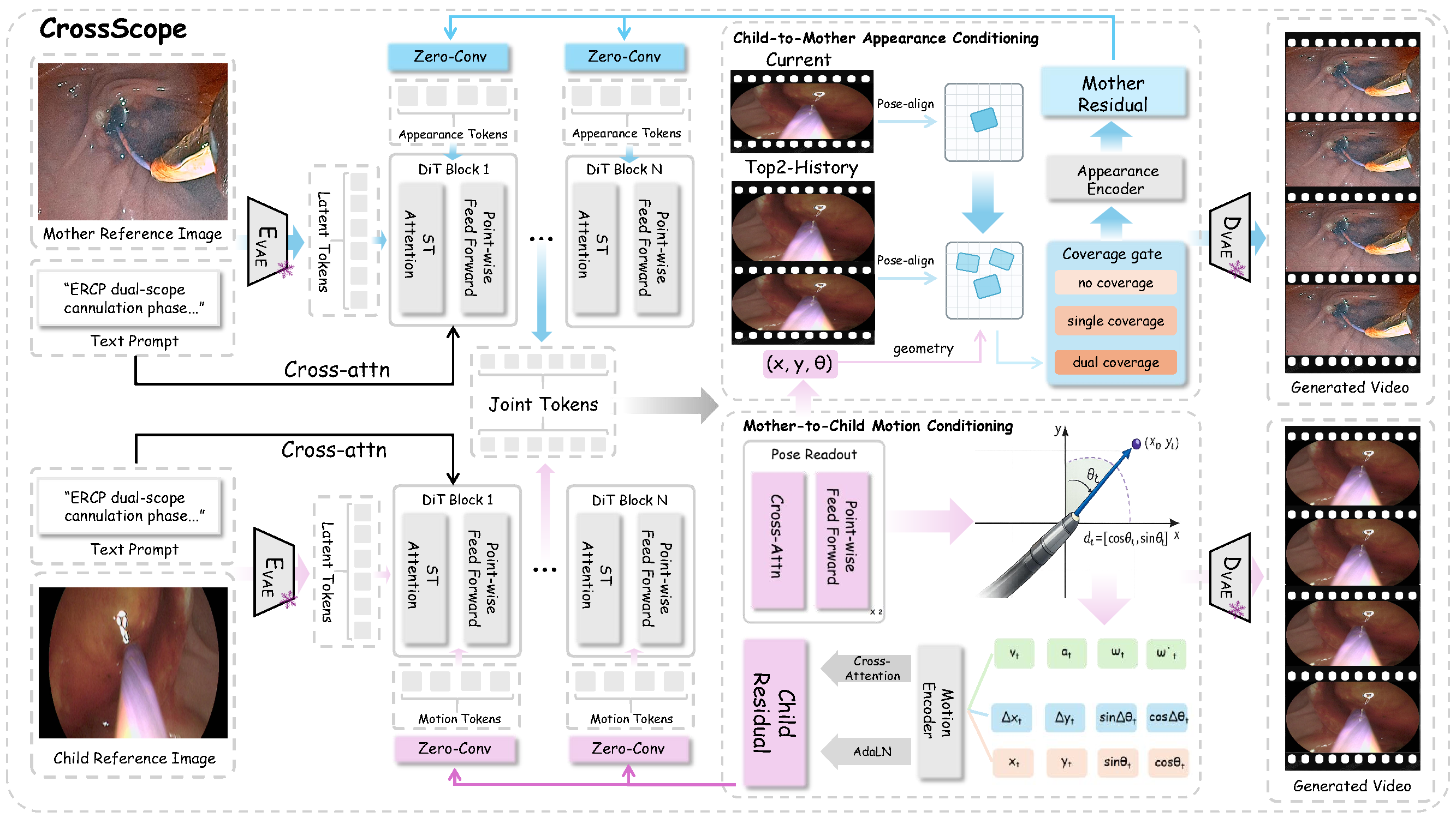 CrossScope dual-stream architecture with M2C geometric motion conditioning and C2M pose-aligned appearance conditioning.