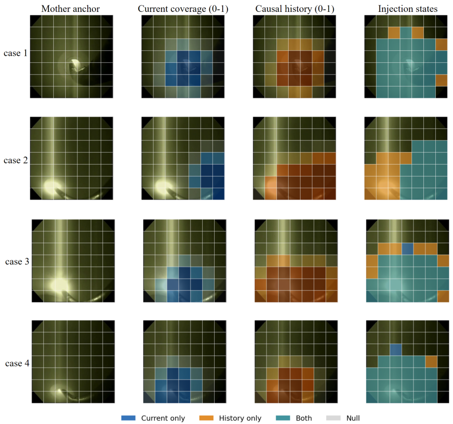 Four C2M spatial support cases showing the Mother anchor, Current coverage, causal History coverage, and final injection state.